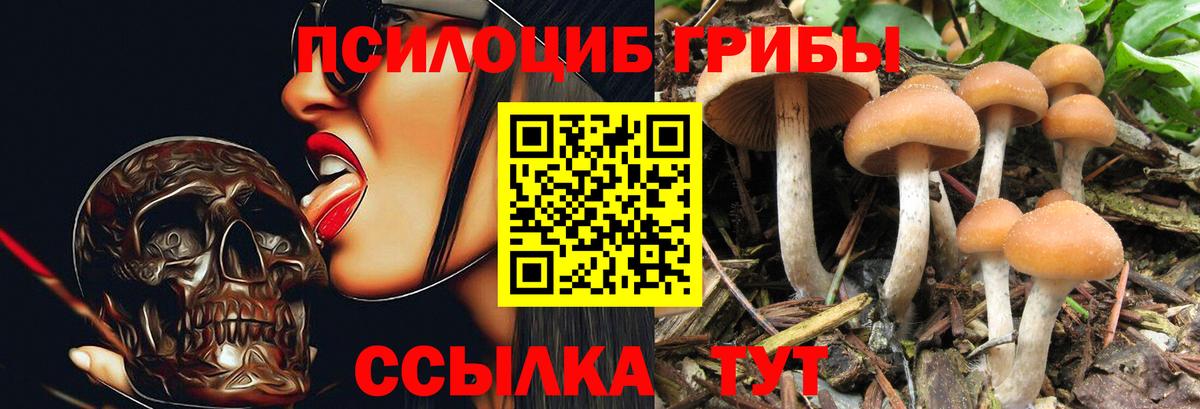 Галлюциногенные грибы GOLDEN TEACHER Южно-Сахалинск