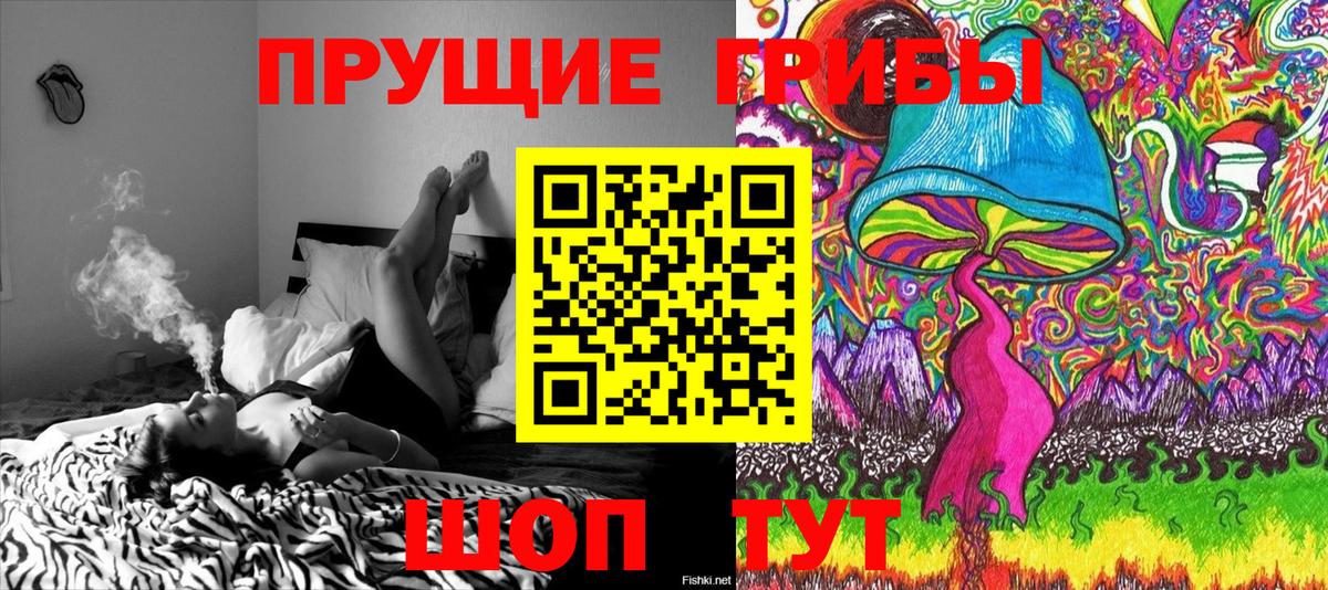 Псилоцибиновые грибы прущие грибы  Вход с VPN  Псилоцибиновые грибы ЛСД  Южно-Сахалинск 